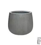 Ridged - Pax