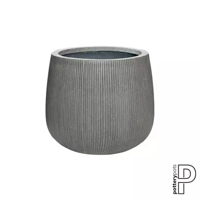 Ridged - Pax