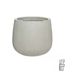 Ridged - Pax Ridged - Pax