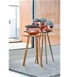 Platinum - Peter Platinum - Peter