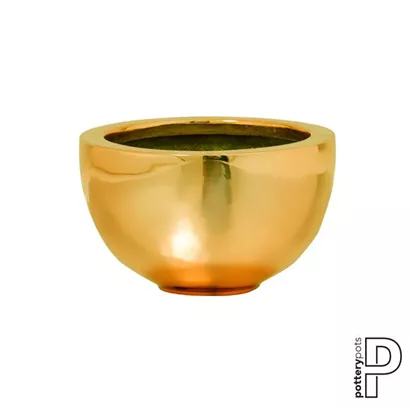 Platinum - Peter Platinum - Peter