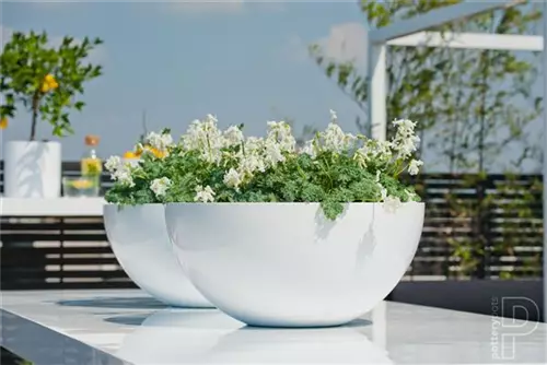 Platinum - Vic Bowl