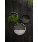 Natural - Wally (hängend)