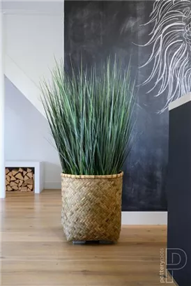 Bohemian - Zayn Bohemian - Zayn