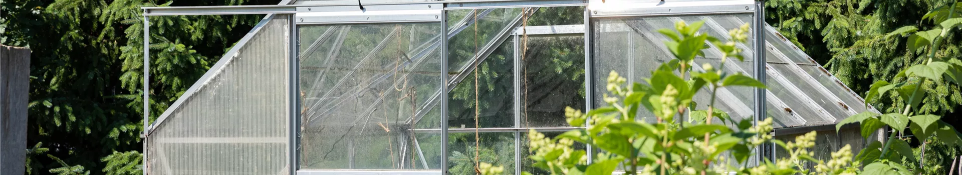 Ein Gewächshaus anlegen