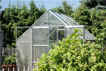 Ein Gewächshaus anlegen