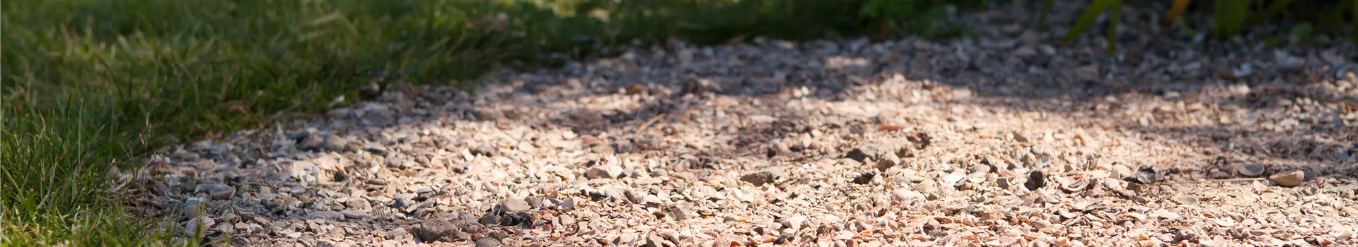 Pflastersteine und Wege – Richtige Pflege bringt lange Freude