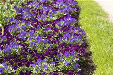 Klimazonen im Garten schaffen