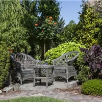 Hier lass ich mich gern nieder