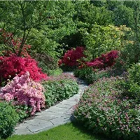 Natürliche Ornamente und Bescheidenheit