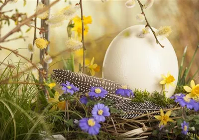 Das Garten-Paradies für Osterhase und Co.