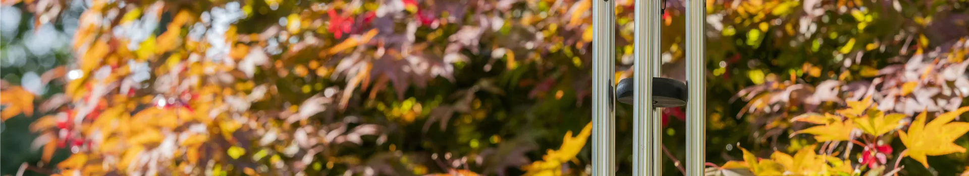 Der Klanggarten: Windspiel, und Co. sorgen für Erholung