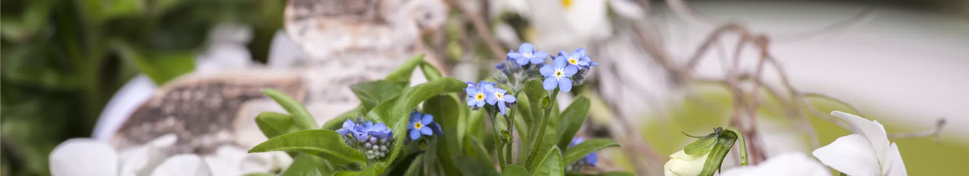 Ostern vor der Haustür