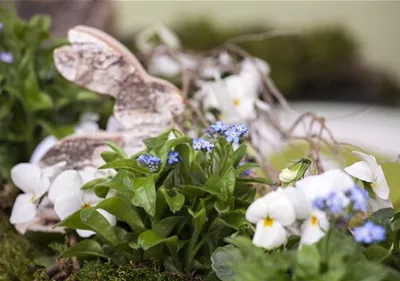Ostern vor der Haustür