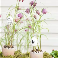 Vorbereitung ist alles