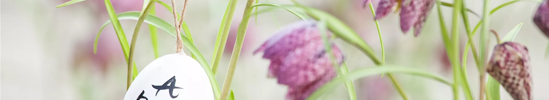 Der Garten für den Osterhasen – ein Frühlingsparadies!