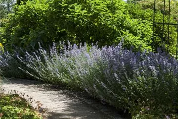Sie sind bewegend! Wege, die durch den Garten führen.