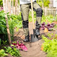 Was gehört in den Garten?