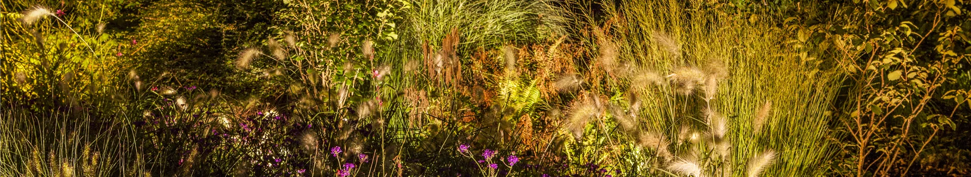 Lichtquellen machen den Garten schöner!