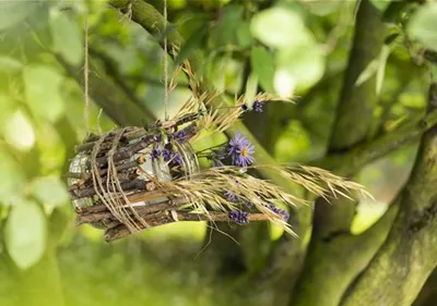 Ein Vogelhaus aus einem Weckglas - gläserner Futter-Stopp für Vögel