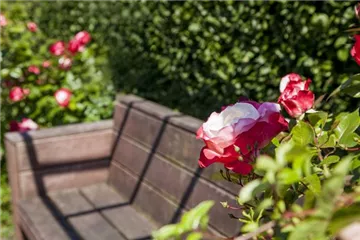Lauschige Ecken im Garten