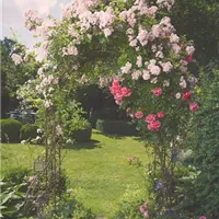 Räume im Garten schaffen