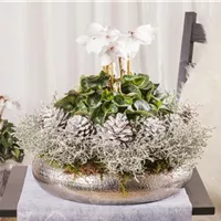 Kreativität ist Trumpf