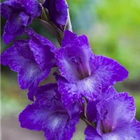 Methoden für die Lagerung