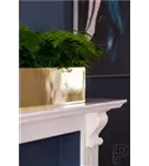 Platinum - Balcony slim
