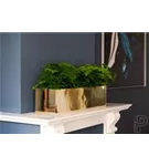 Platinum - Balcony slim