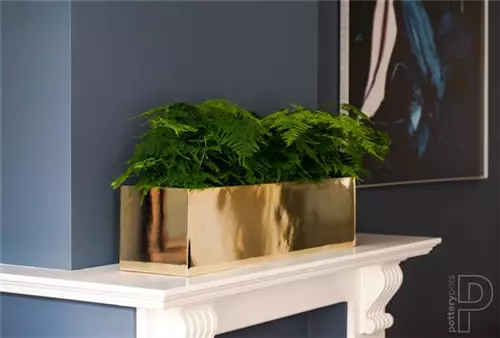 Platinum - Balcony slim