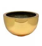 Platinum - Bowl Platinum - Bowl