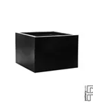 Natural - Jumbo middle high