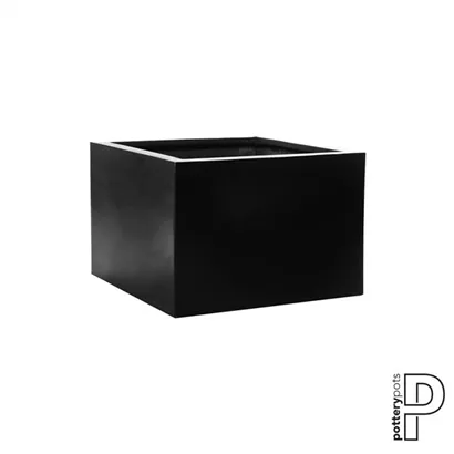 Natural - Jumbo middle high