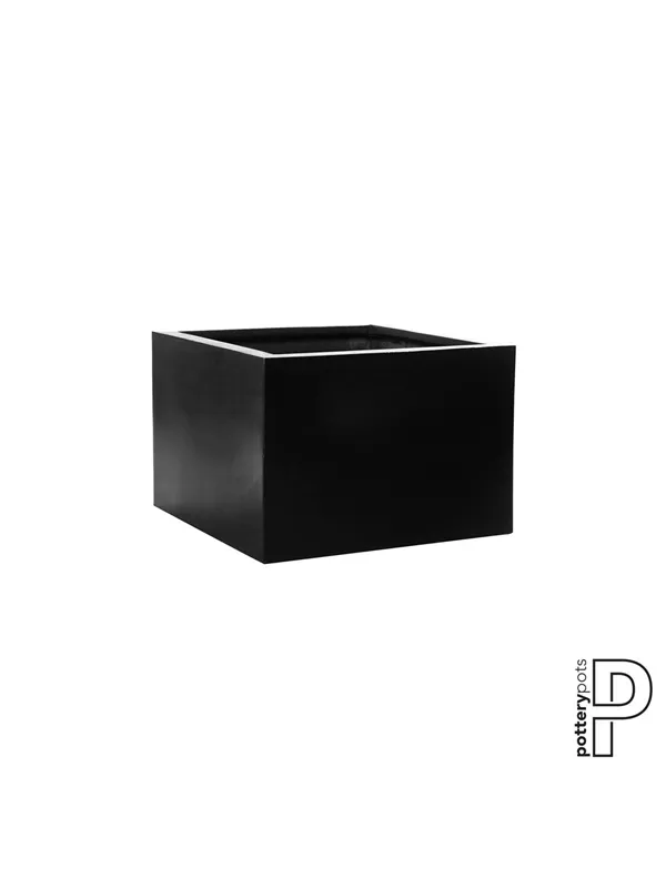 Natural - Jumbo middle high