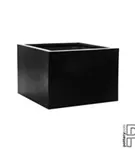 Natural - Jumbo middle high