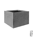 Natural - Jumbo middle high