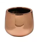 Platinum - Kevan Platinum - Kevan