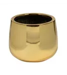 Platinum - Kevan Platinum - Kevan