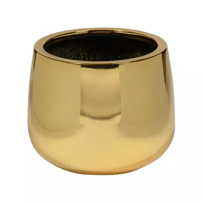 Platinum - Kevan Platinum - Kevan