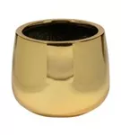 Platinum - Kevan Platinum - Kevan