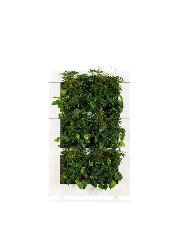 LiveDivider Plus 3