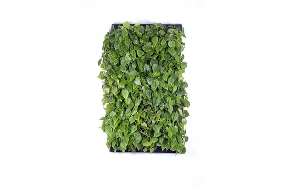 LivePanel Pack 2 x 3 LivePanel Pack 2 x 3