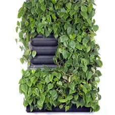 LivePanel Pack 2 x 3, B 86,5 x H 157,5 cm LivePanel Pack 2 x 3, B 86,5 x H 157,5 cm