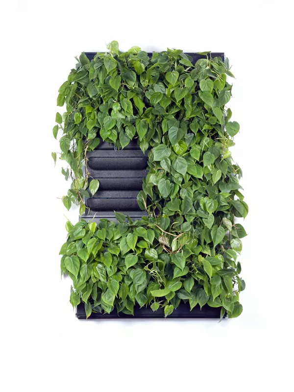 LivePanel Pack 2 x 3 LivePanel Pack 2 x 3