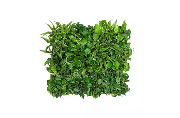 LivePanel Pack 3 x 2 LivePanel Pack 3 x 2