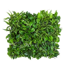 LivePanel Pack 3 x 2, B 126,6 x H 108,9 cm LivePanel Pack 3 x 2, B 126,6 x H 108,9 cm