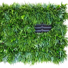 LivePanel Pack 6 x 4, B 246,9 x H 106 cm LivePanel Pack 6 x 4, B 246,9 x H 106 cm