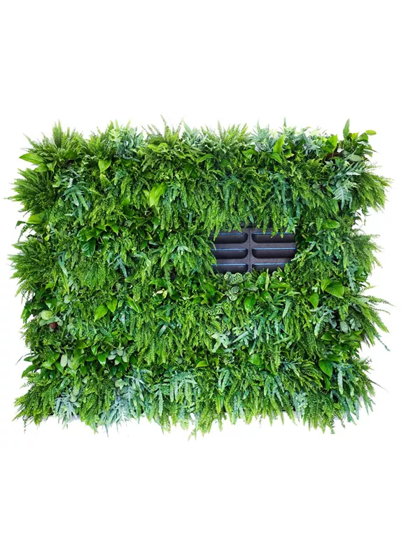 LivePanel Pack 6 x 4 LivePanel Pack 6 x 4